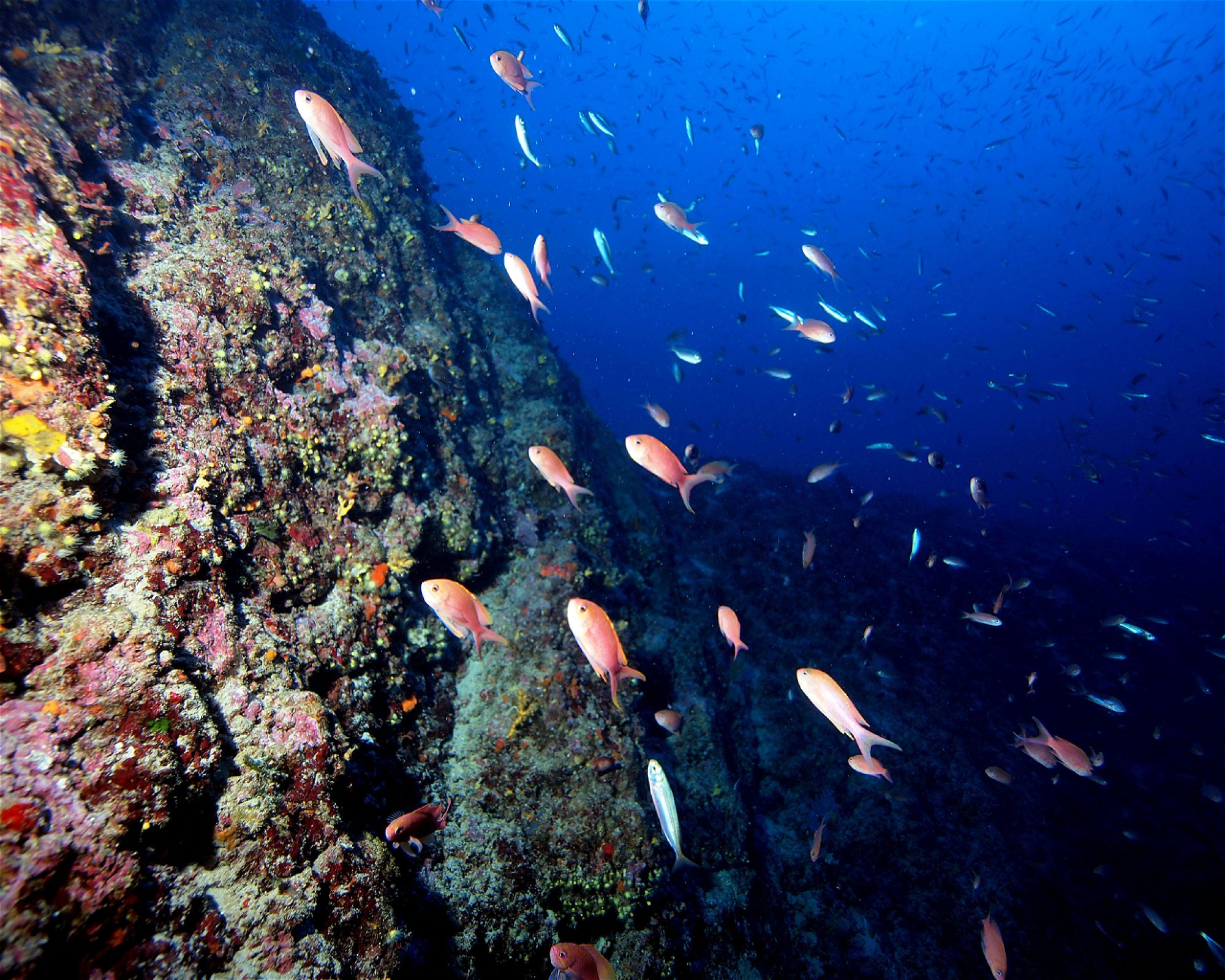 NAJADA diving d.o.o., 22243 Murter