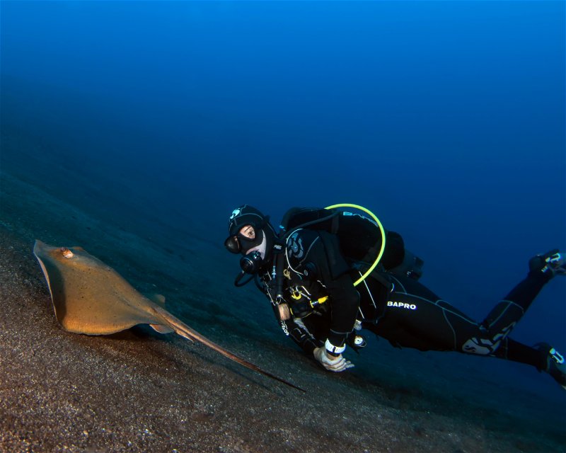 Divesite Image