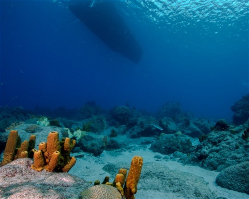 Divesite Image