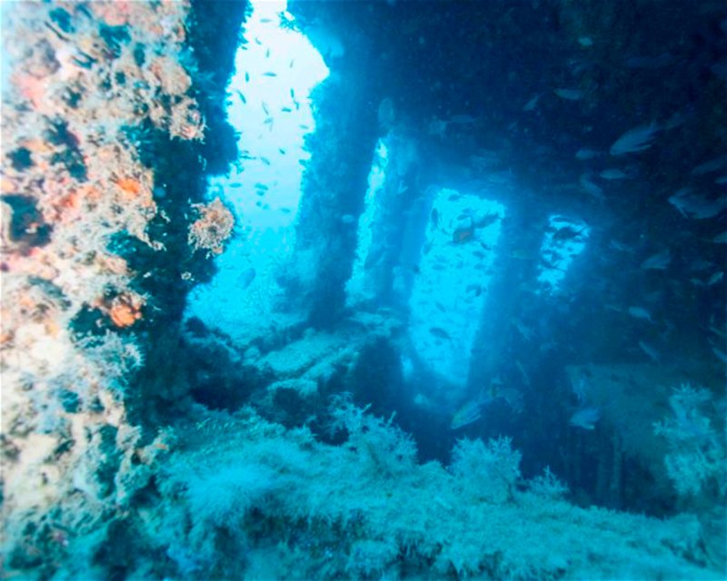 Divesite Image