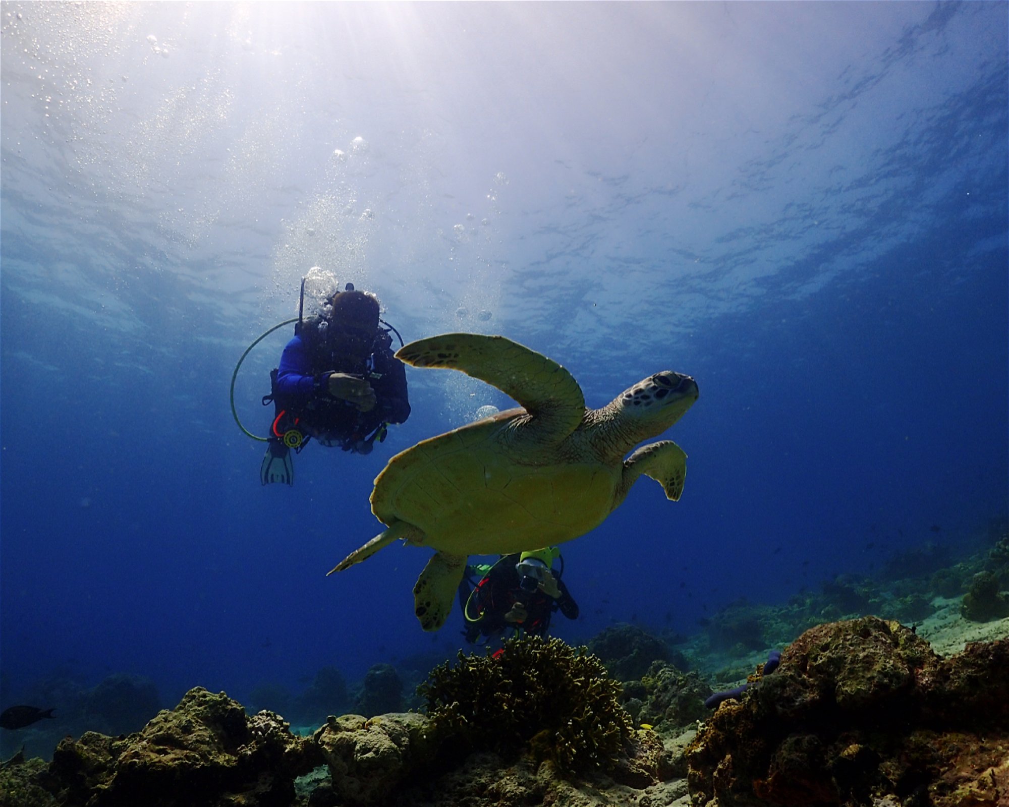 BALI FUN DIVING, 80224 Denpasar Selatan