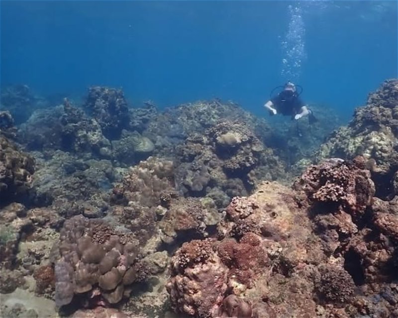 Divesite Image