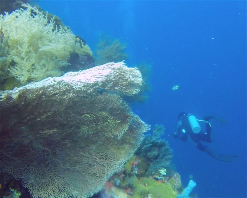 Divesite Image