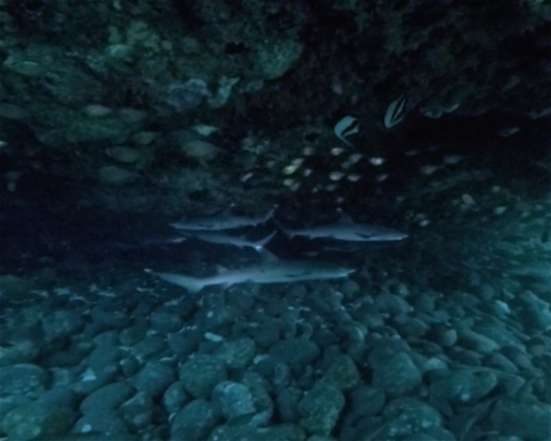 Divesite Image