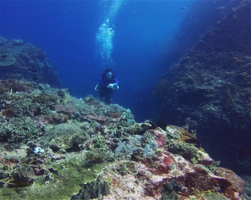 Divesite Image