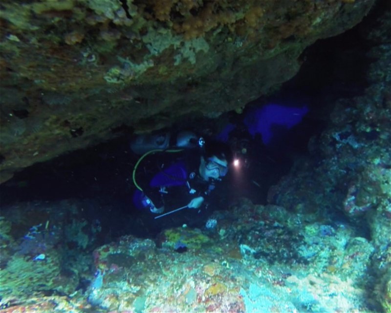 Divesite Image