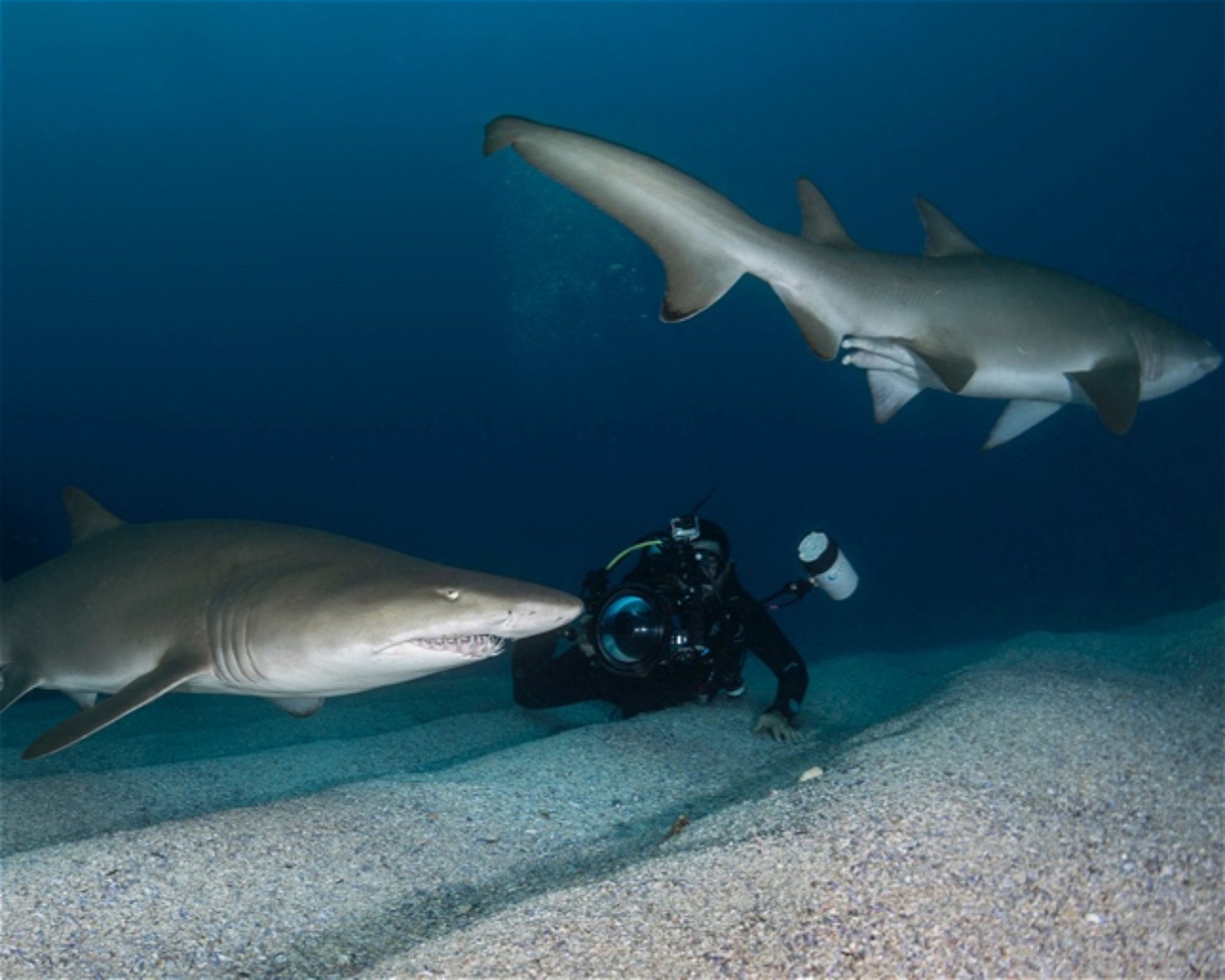 GOLD COAST DIVE CENTRE, 4220 MIAMI