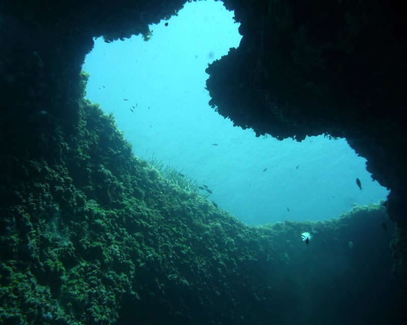 Divesite Image