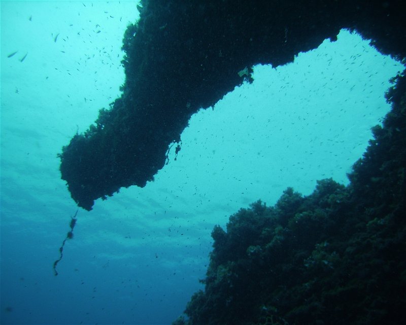 Divesite Image