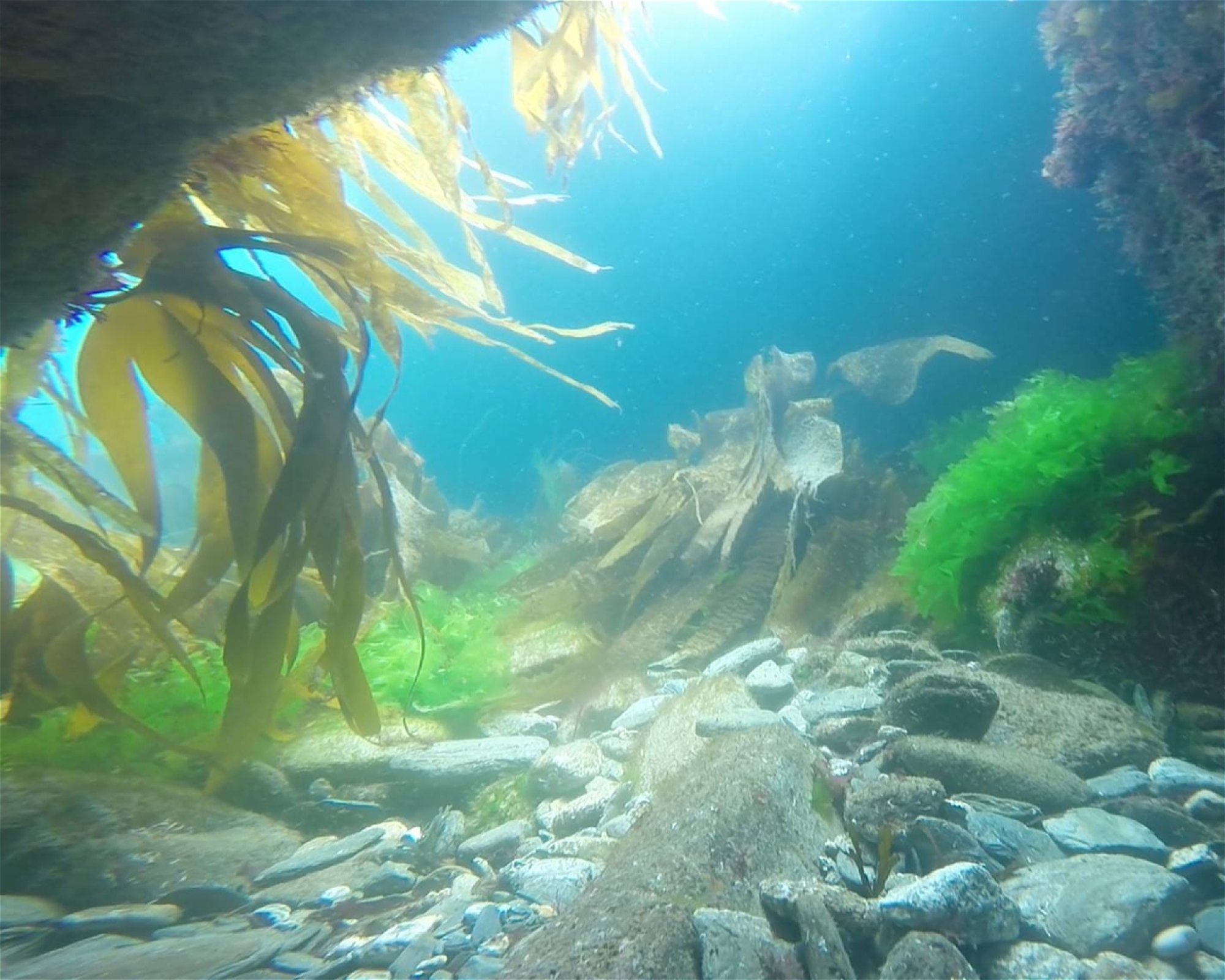 Dive Newquay Ltd, TR7 1BE NEWQUAY