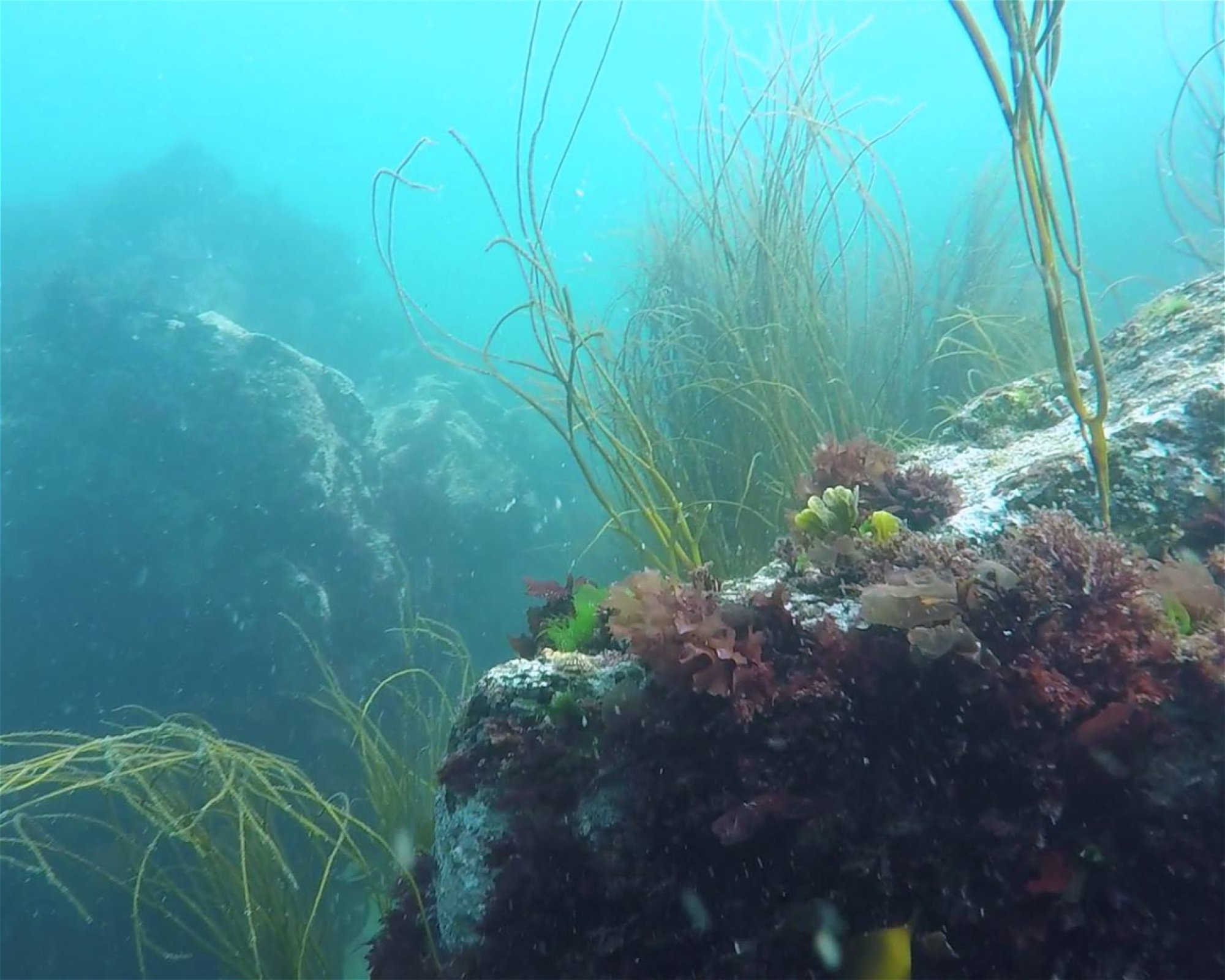 Dive Newquay Ltd, TR7 1BE NEWQUAY