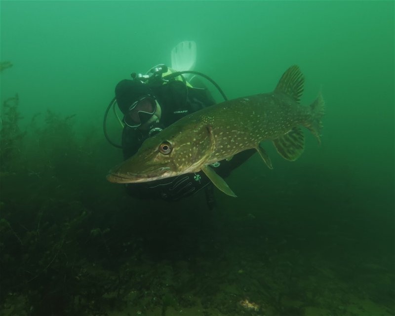 Divesite Image