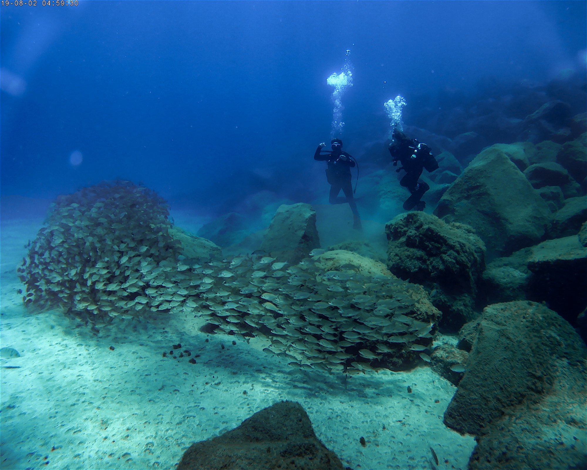 TENERIFE DIVE EXPERIENCE, 38660 SANTA CRUZ DE TENERIFE