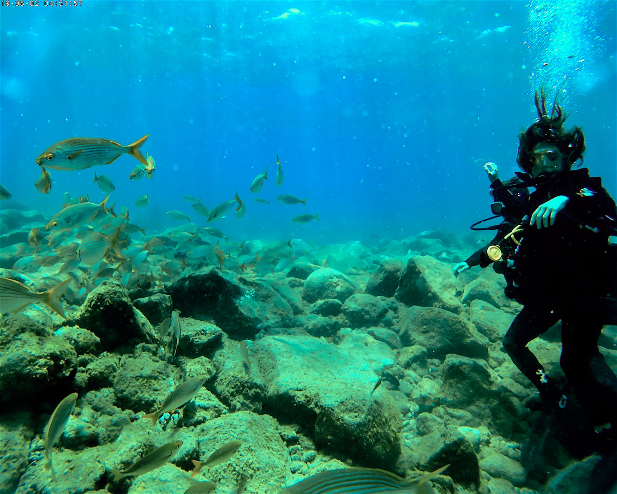 TENERIFE DIVE EXPERIENCE, 38660 SANTA CRUZ DE TENERIFE