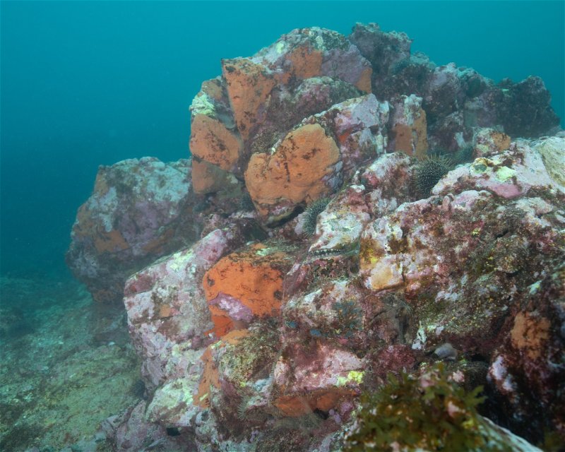 Divesite Image