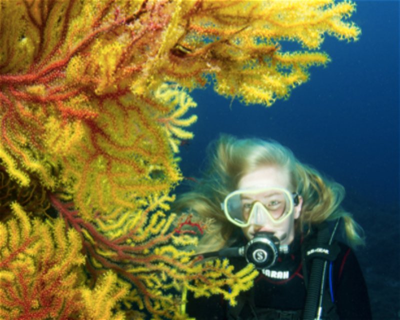 Divesite Image