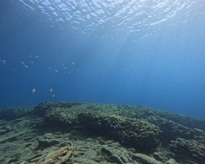 Divesite Image