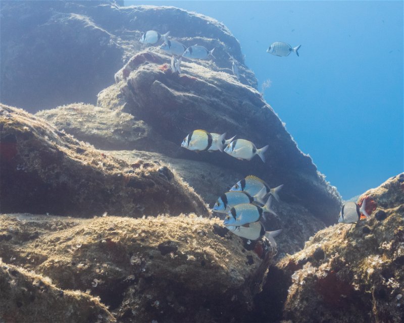 Divesite Image