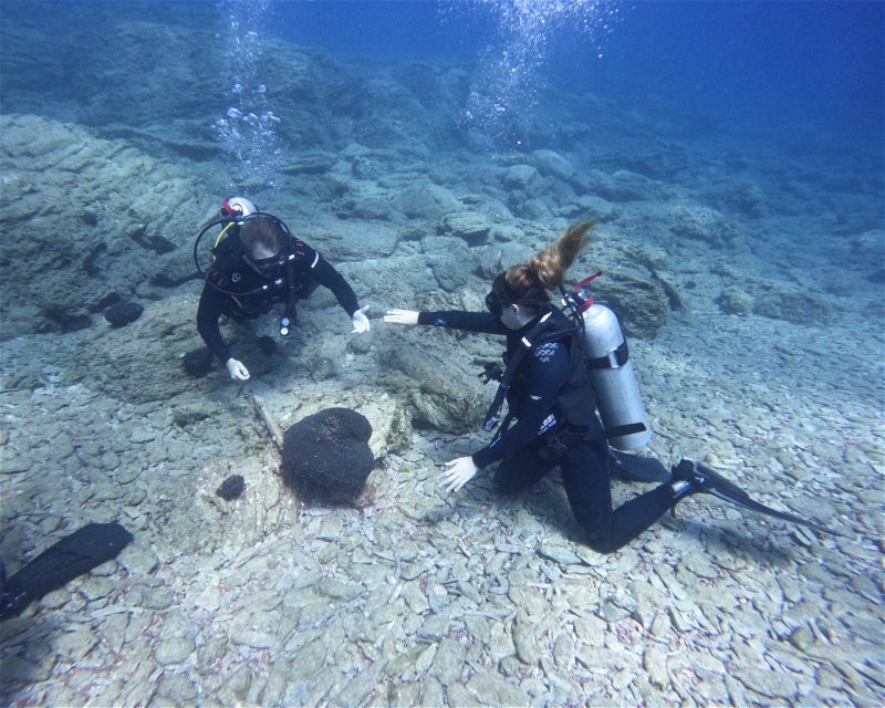 Divesite Image