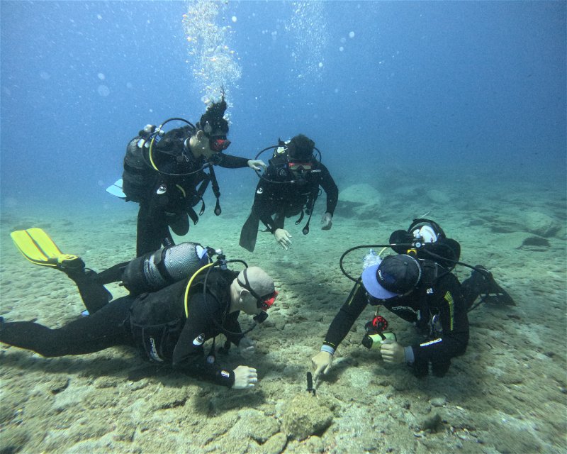 Divesite Image