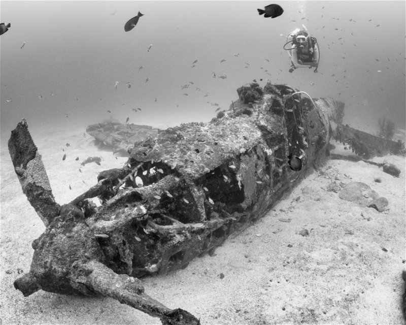 Divesite Image