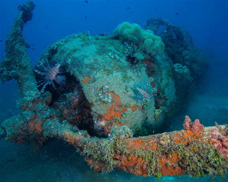 Divesite Image