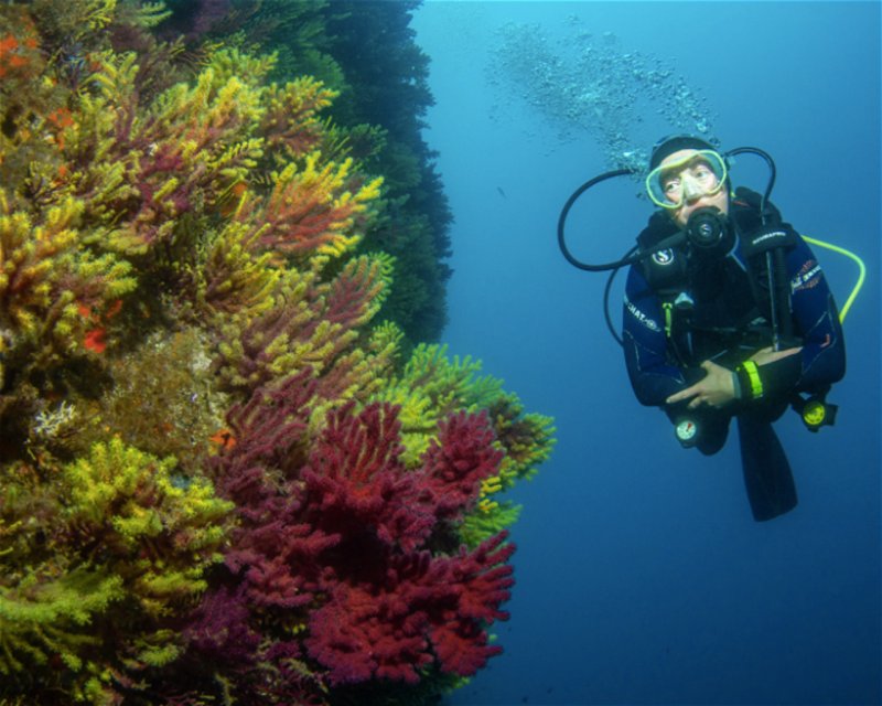 Divesite Image