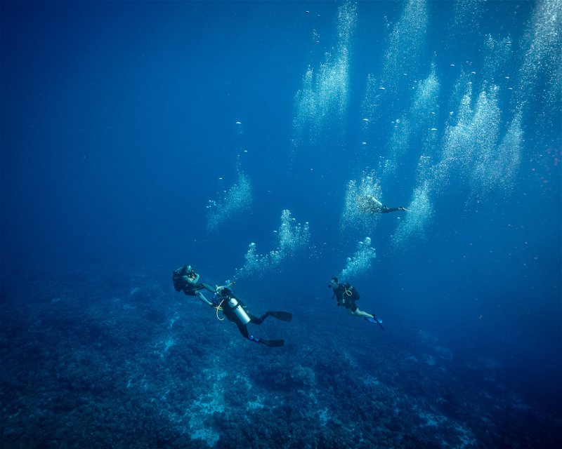 Divesite Image