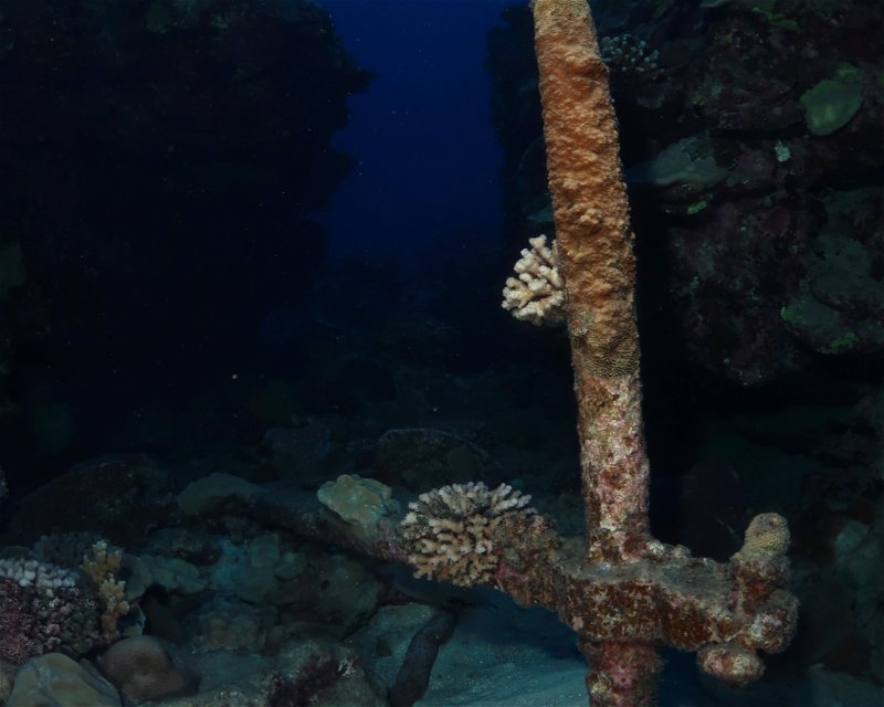 Divesite Image