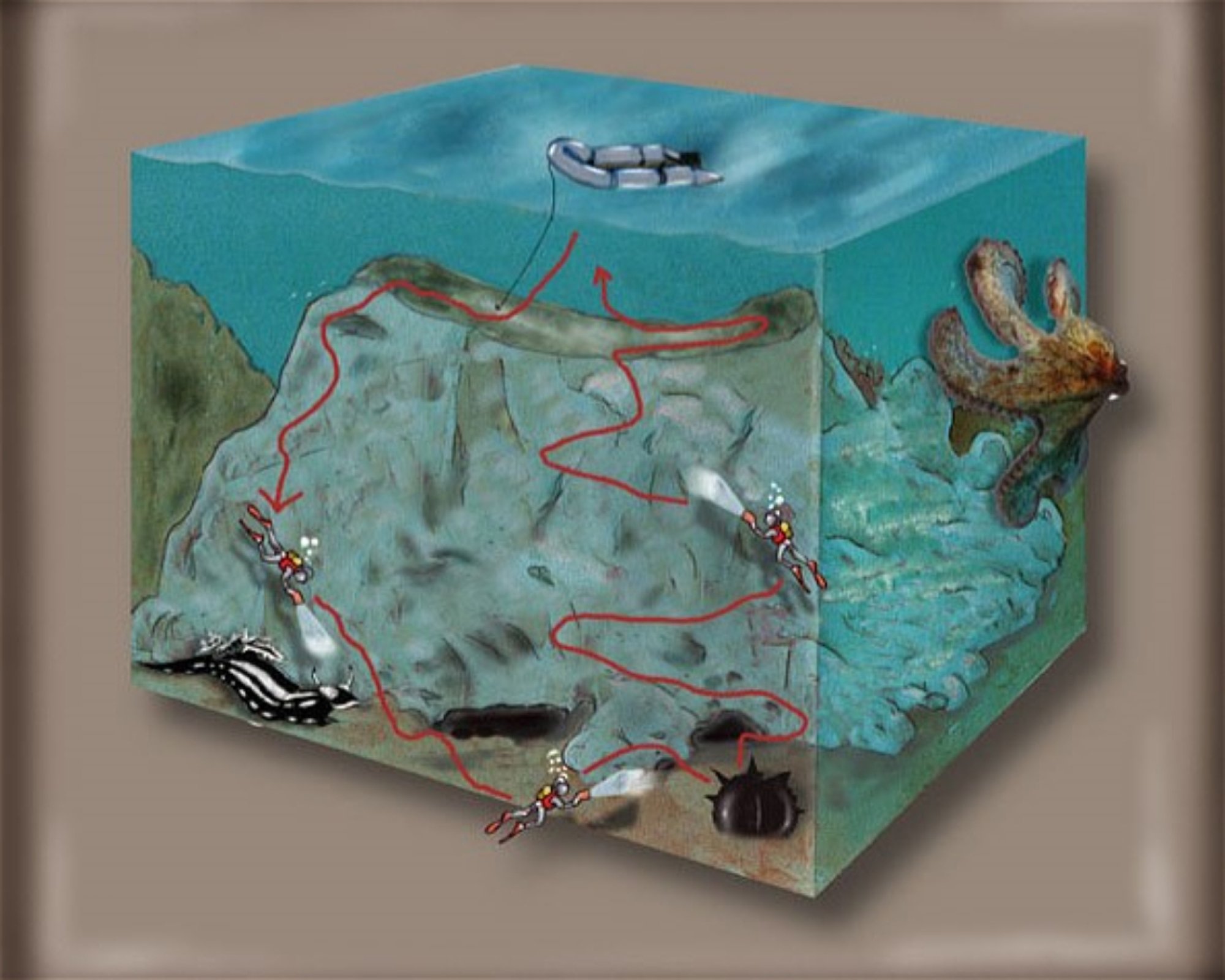 DIVING CENTER SERVICE NEREO SUB, 17028 SPOTORNO