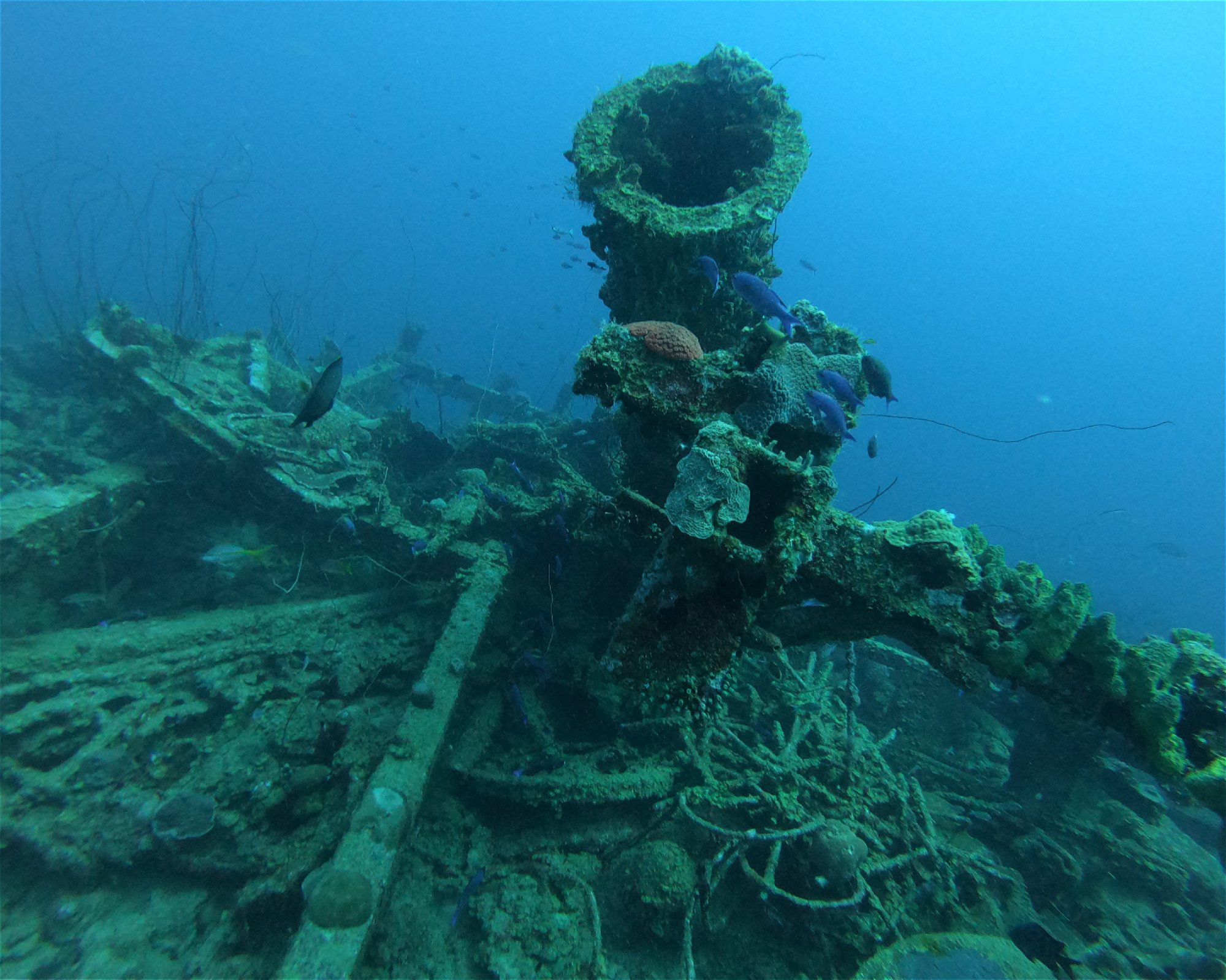 Scubaçao, Willemstad