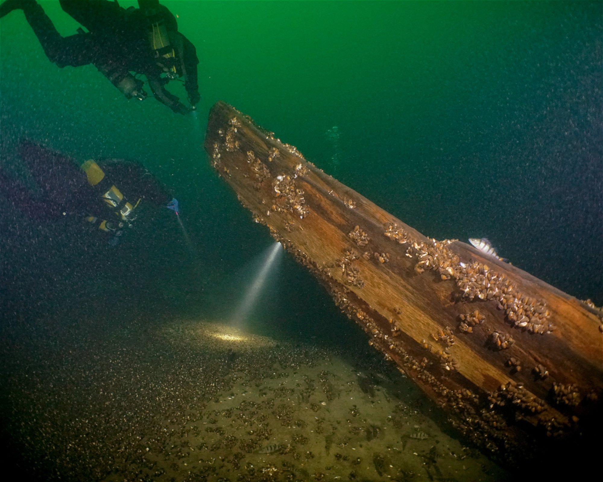 Diveteam Uetze, 31311 Uetze