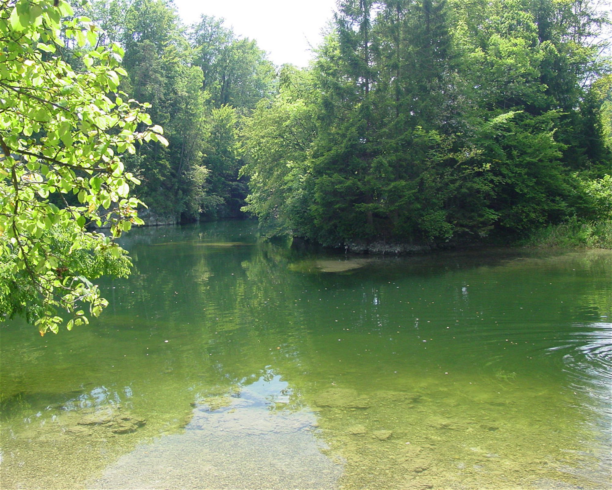 SCUBABOARD, 4020 Linz