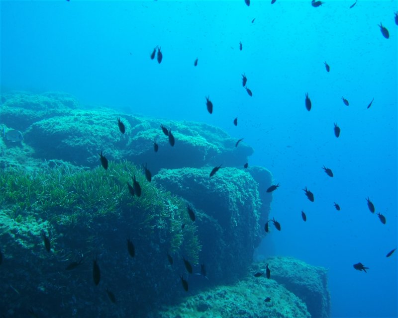 Divesite Image