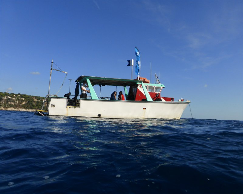 Divesite Image