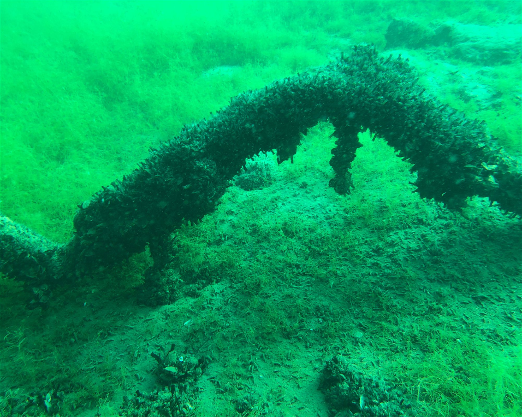 Scuba World Arnhem, 6811 CG Arnhem
