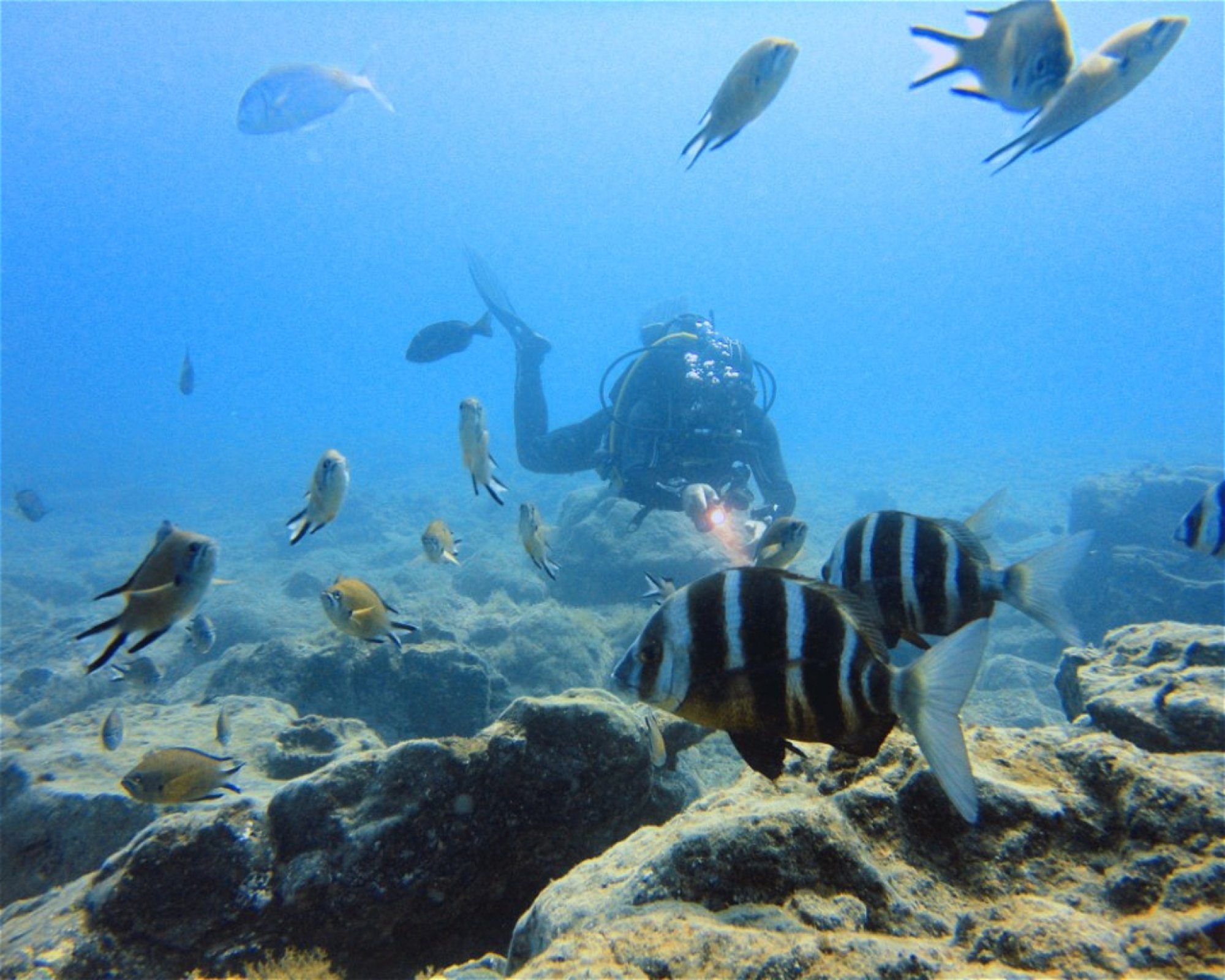 FUERTEVENTURA DIVING S.L., 35626 Esquinzo - Pájara