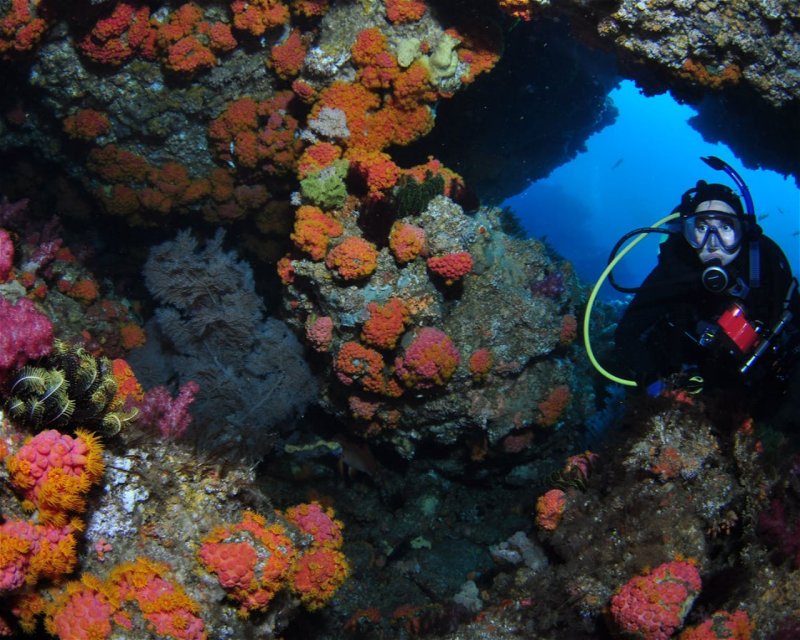 Divesite Image