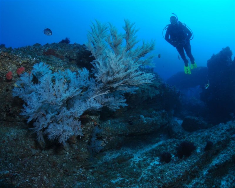 Divesite Image