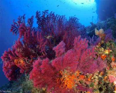 Le Scole  (★3.8)