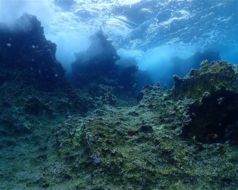 Divesite Image