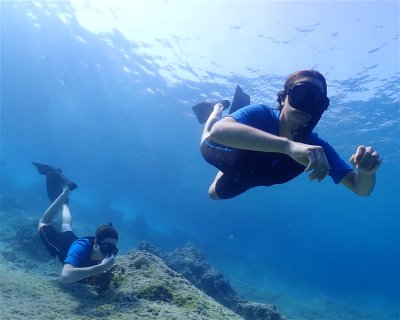 Life Aquatic <span class="text-color-primary text-sm"> (★4.7)</span>
