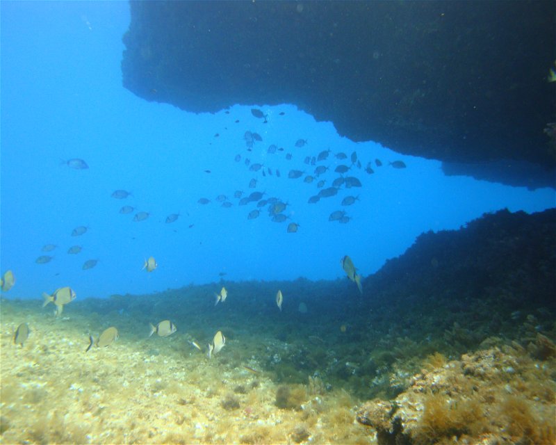 Divesite Image