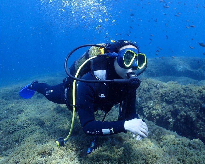 Divesite Image