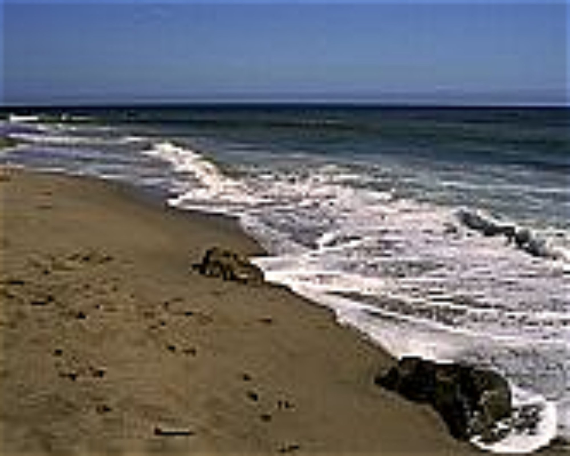 Channel Islands Scuba, 91360 Thousand Oaks