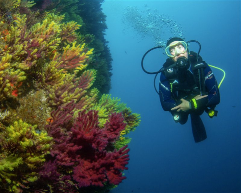 Divesite Image