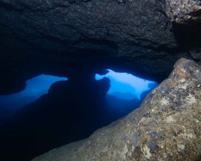 BMW  cave <span class="text-color-primary text-sm"> (★4.4)</span>