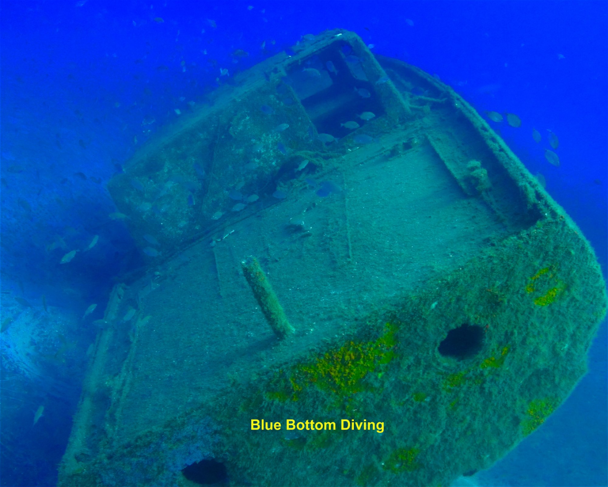 Blue Bottom Diving, 38660 Adeje