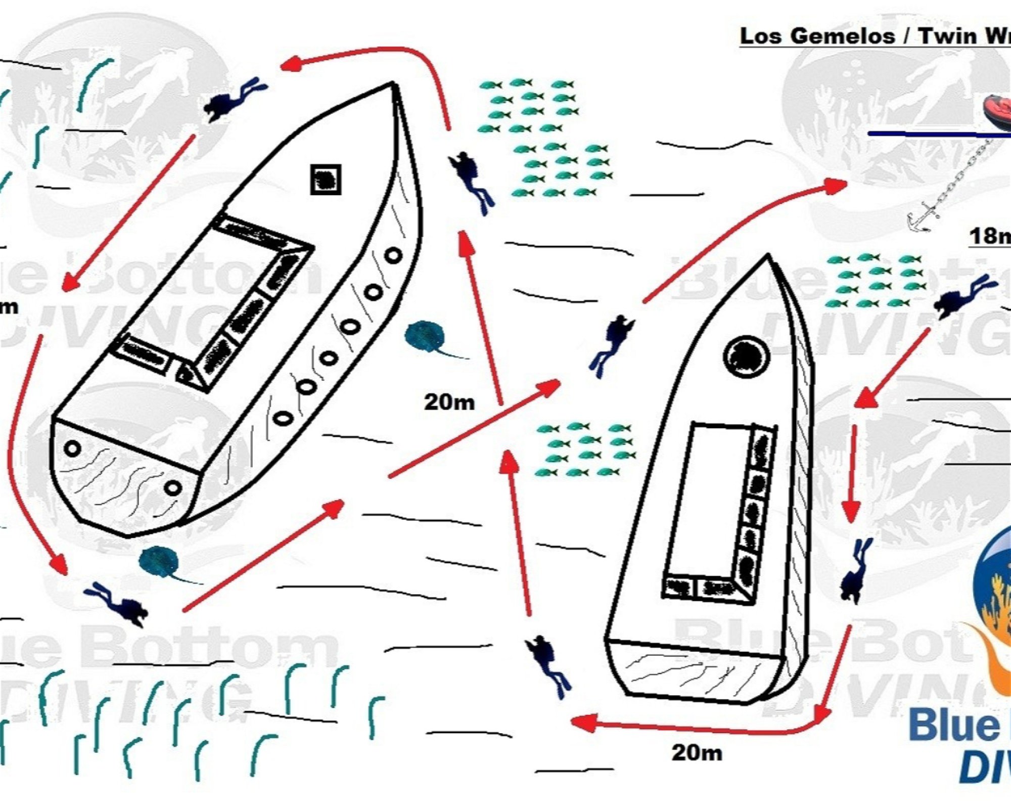 Blue Bottom Diving, 38660 Adeje
