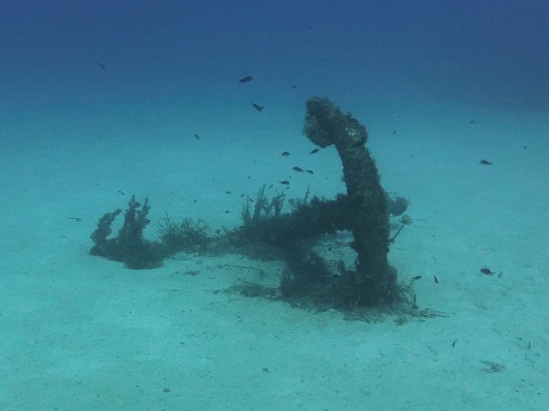 Divesite Image